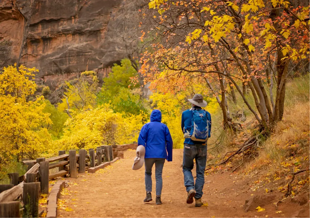 2 visitors walking along a path in zion in the fall