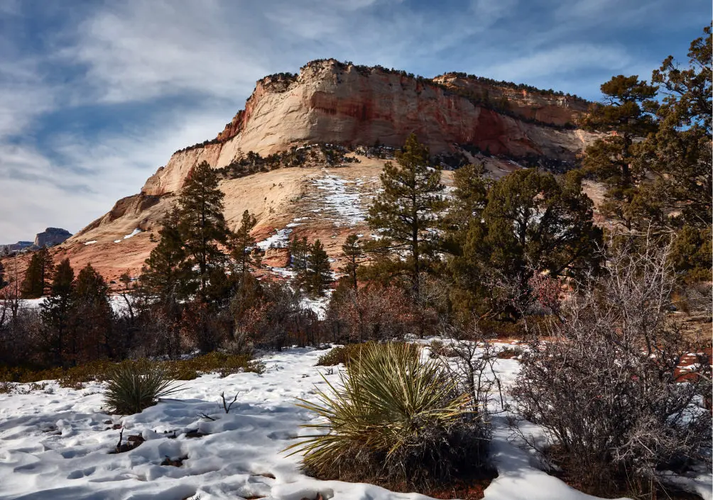 snow on zion national park