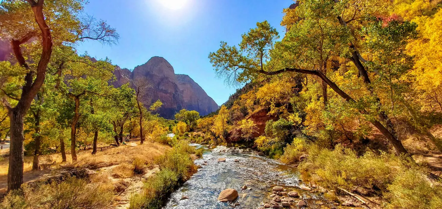 River in zion