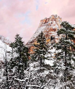 Winter in Zion